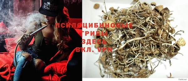 MESCALINE Вяземский