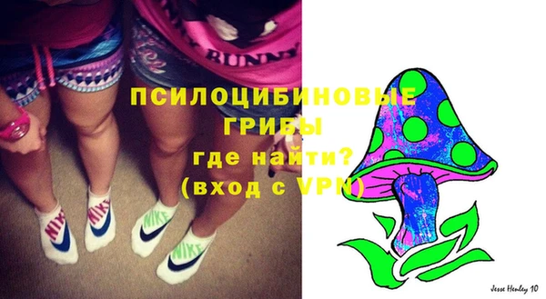 mdpv Вязьма