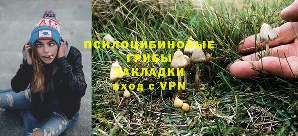 mdpv Вязьма