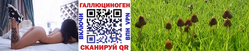 MEGA tor  Домодедово  Псилоцибиновые грибы Cubensis 